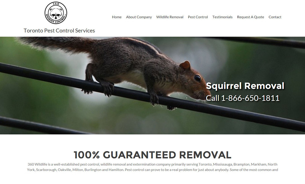 web design